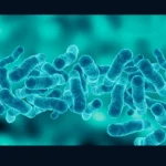 Legionella: objawy zakażenia, których nie wolno ignorować (ilustracja wygenerowana z pomocą AI)