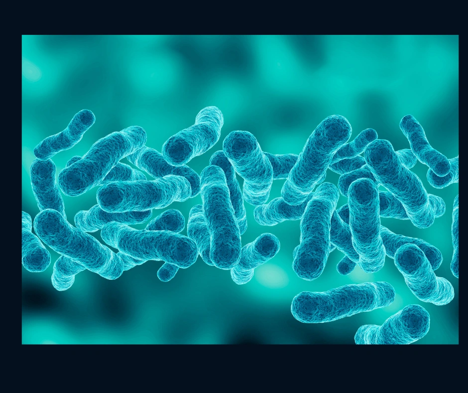 Legionella: objawy zakażenia, których nie wolno ignorować