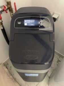 Graphite EcoWater water softener installed on a domestic water system